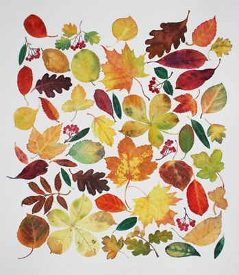 Claire Winteringham