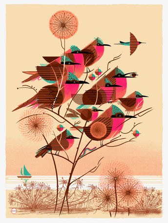 Graham Carter