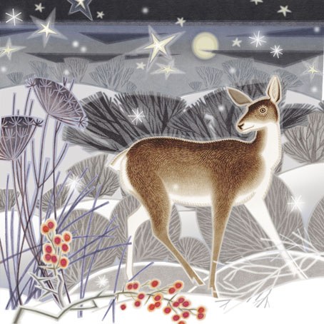 Jenny Tylden-Wright