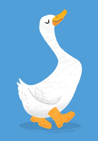 AR DVH0113 M&S duck