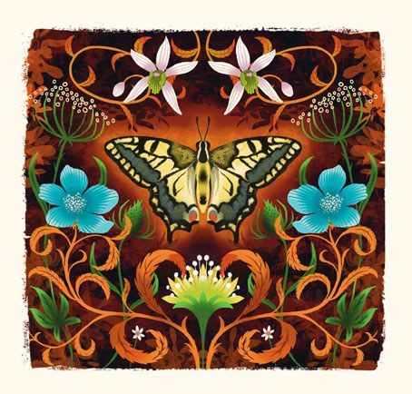 AR DVH0374 BUTTERFLY.jpeg