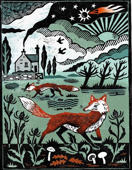 DVH0384 fox