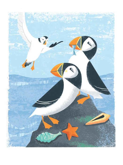 AR DVH0317Apuffinswithseagull PLCRFT PLG