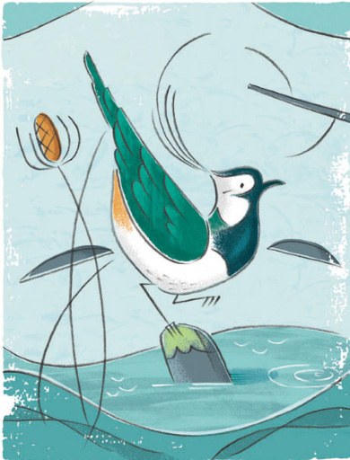 AR DVH0130 lapwing PLEM
