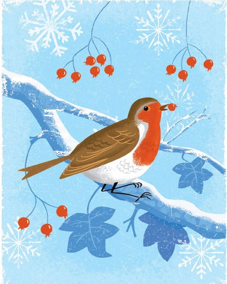 AR DVH0329 A robin972