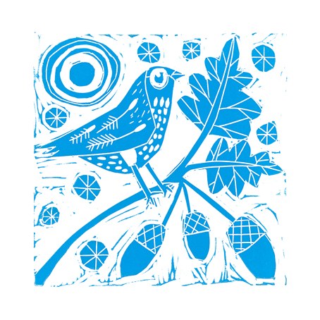 CWE0246 Acornbird