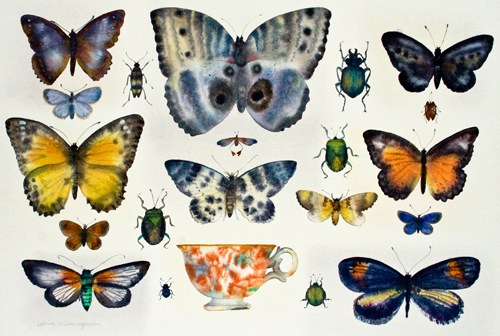 WIN0133Butterflies&Beetles PLGX