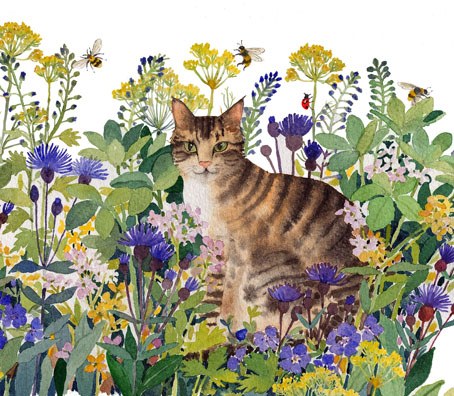WIN0360 Tabby R