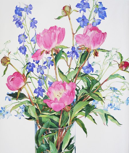 WIN0052peonyanddelphinium PLGX PL PLPRLE Y
