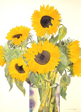 WIN0114big sunflowers smallfile TFHRA Y
