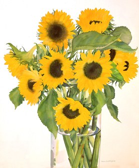WIN0115sunflowers PLPRWW Y
