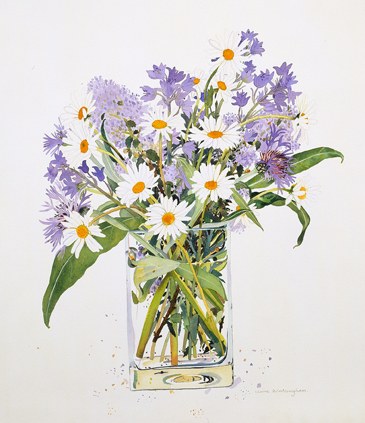 WIN0116bluebells and daisies