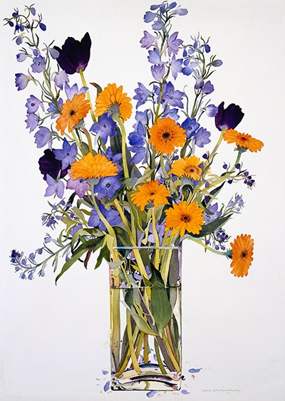 WIN0153gerbera,delphiniumsandblacktulips Y