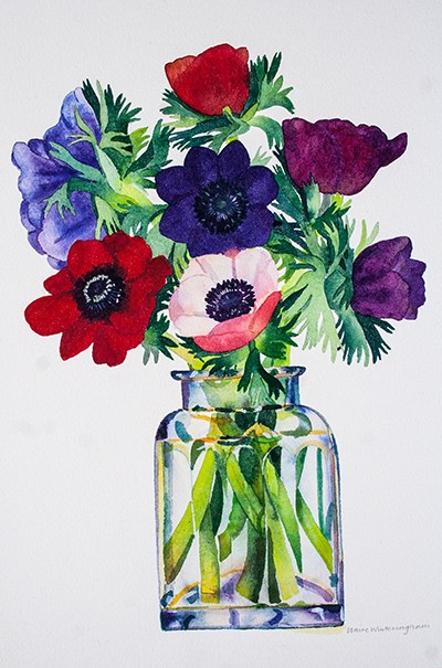 WIN0182 Joanne's anemones TFHRA Y