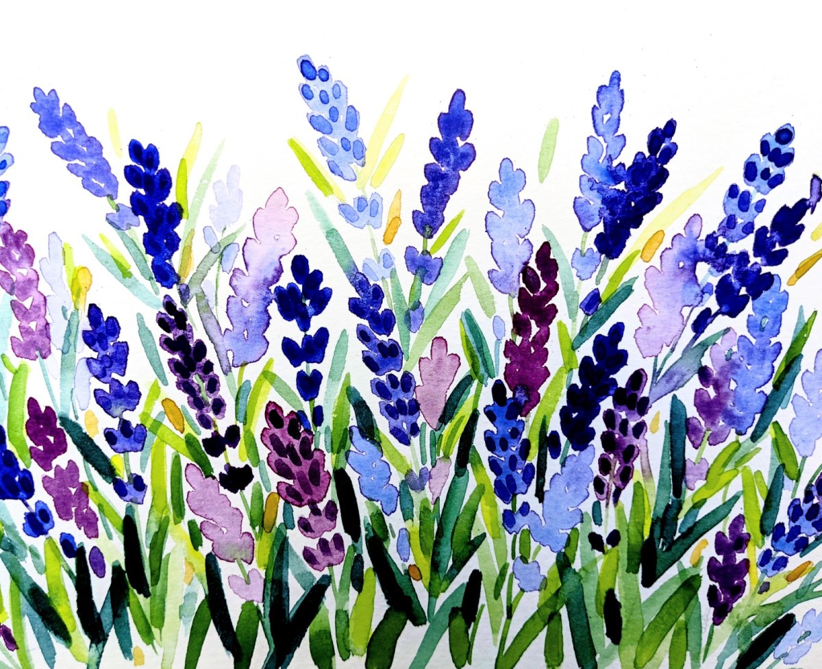 WIN0307 LAVENDER PLGX