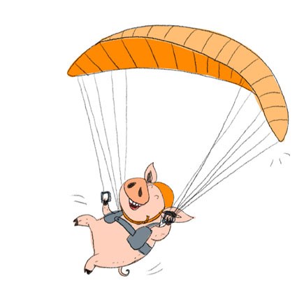 ELX0042 Pig