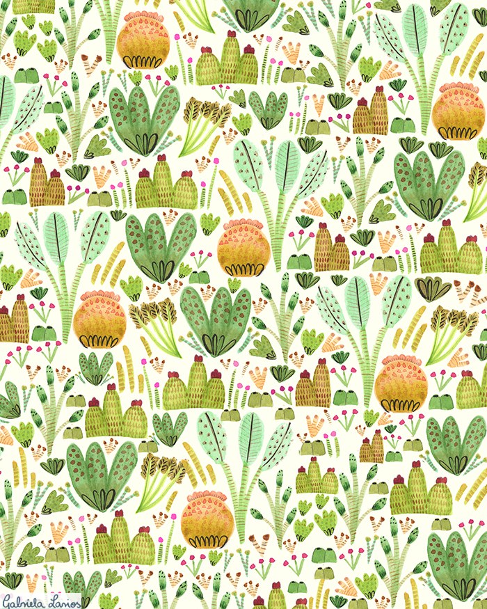 GLA00057 Succulents and Cacti Garden PL