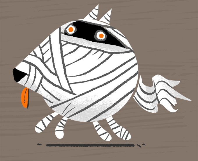 AR GRC0052mummy dog
