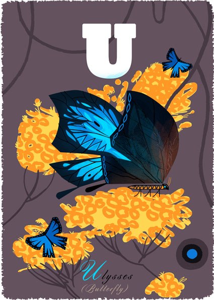 AR GRC0029 (U)lysses Butterfly