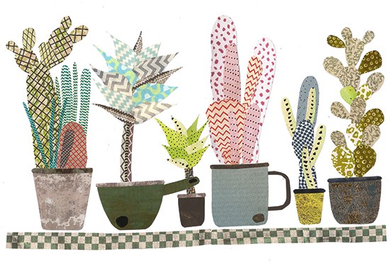 JRB0131 cacti in enamel pots Y