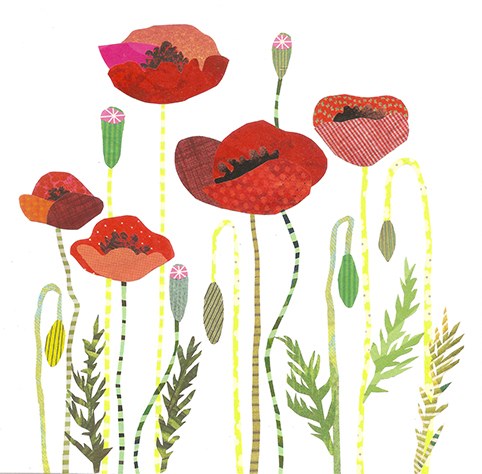 JRB0194 poppies PLGWW28