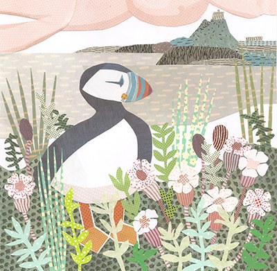 JRB0206 puffin