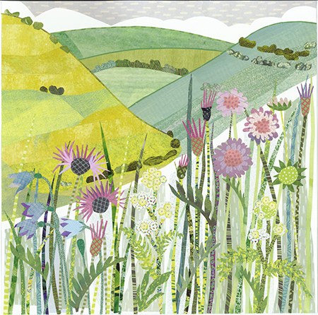 JRB0208 Devil`s Dyke TFHRA Y