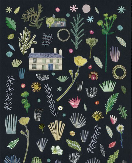 JRB0251 night garden