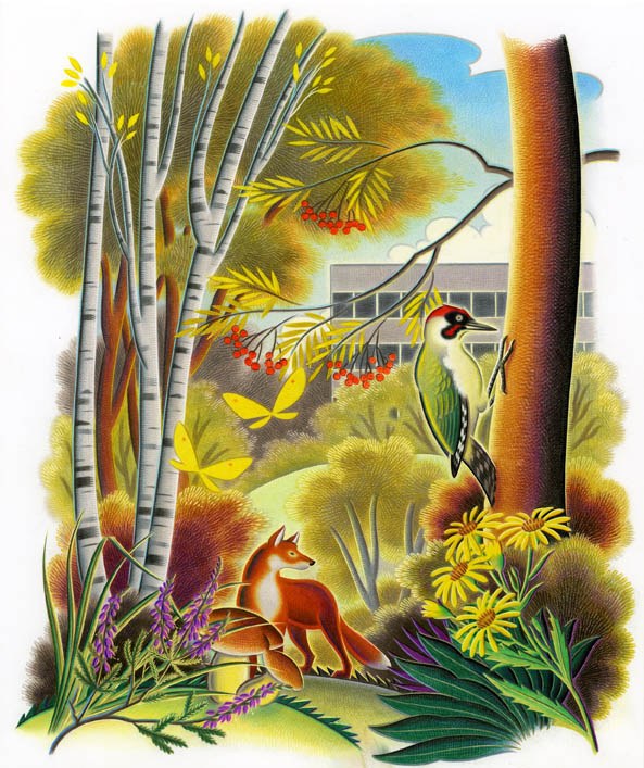 AR JTW0109 Woodland scene