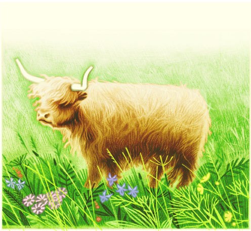 JTW0003 meadowsweetPLTAB TIN