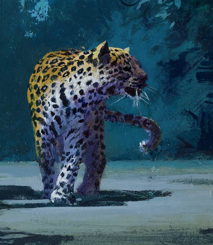 AR AE JHA0029 Leopard Hunts Darkness crop 5 PLPR PLPREXUKEU