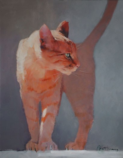 AR AE JHA0030 Portrait of a Ginger Cat