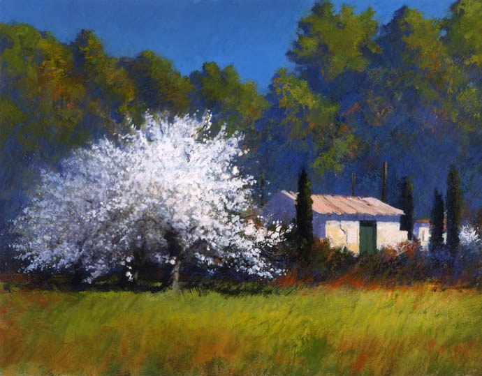 AR AE JHA0560 Toujours Provence  12PLPR