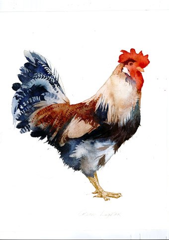 KAT0134 Chickens Y