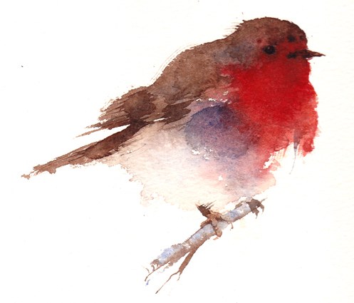 KAT0039robin smallfile TFHRA Y