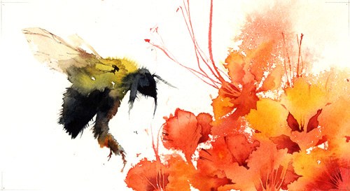 KAT0074beewithflowers TFHRA Y