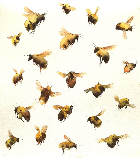 KAT0247 Bumblebees Y