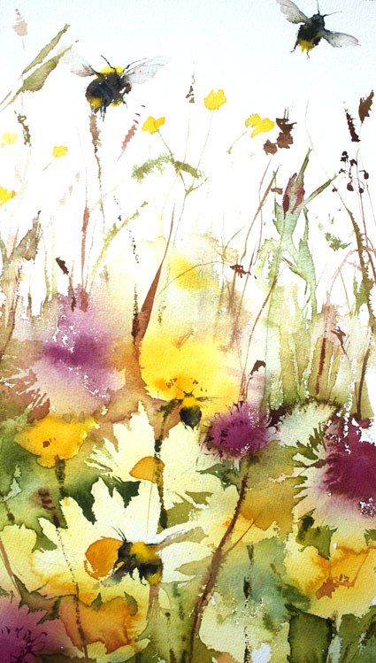 KAT0288 SummerBorder