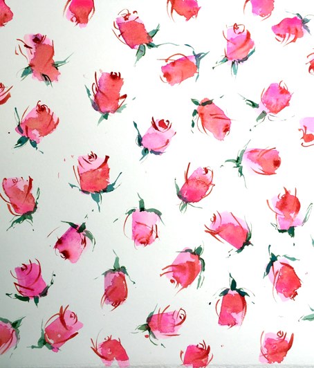 KAT0309 rosebuds