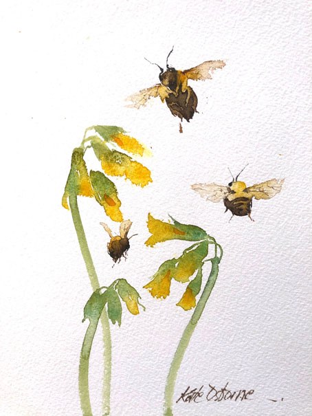 KAT0323 COWSLIP.jpeg