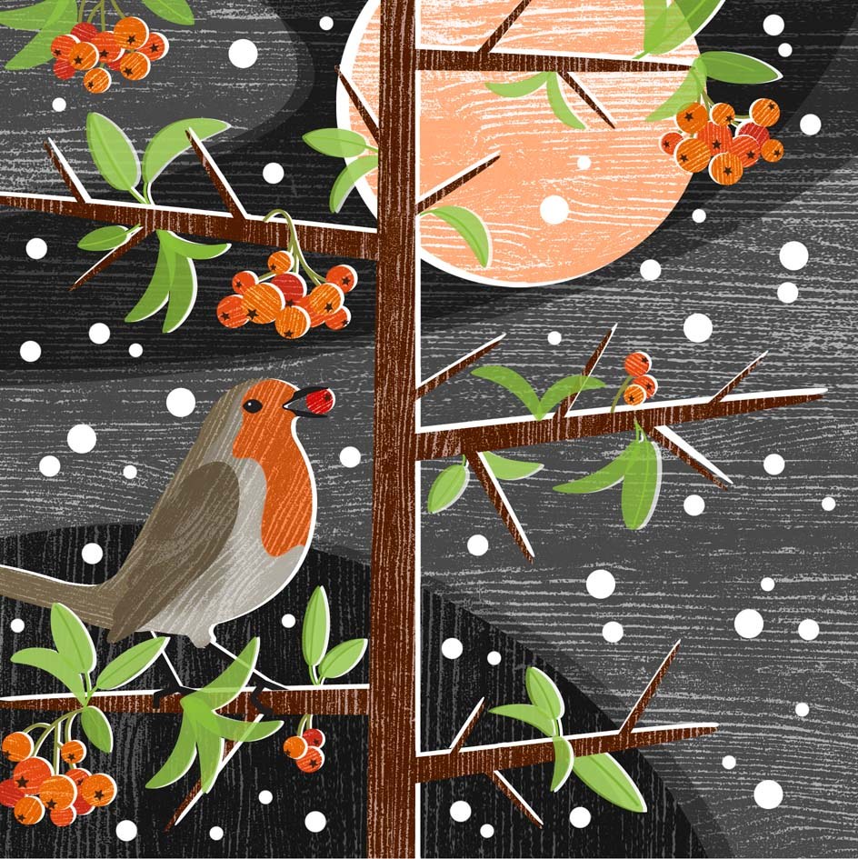 Liane Payne LPA0227 B Firethorn Robin squ PLGWW