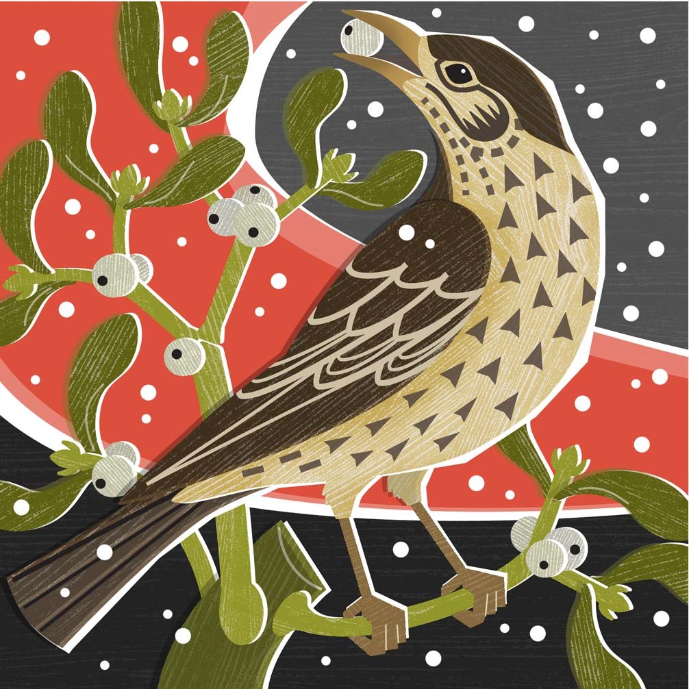 Liane Payne LPA0231 B Mistle Thrush TFHRA