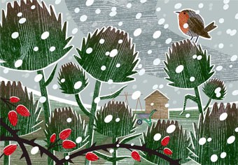LPA0143 A Winter allotment PLGEXUKNXWW Y