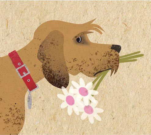 LPA0131 Dogs & flowers Y
