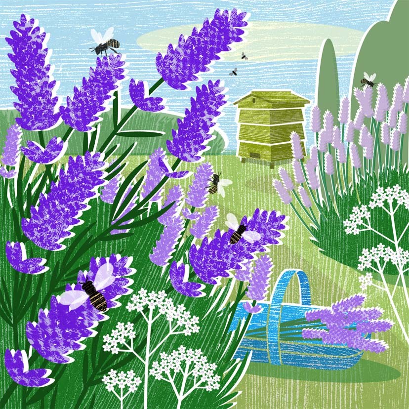LPA0168 B Lavender Garden 2 PLGUK PLMOB