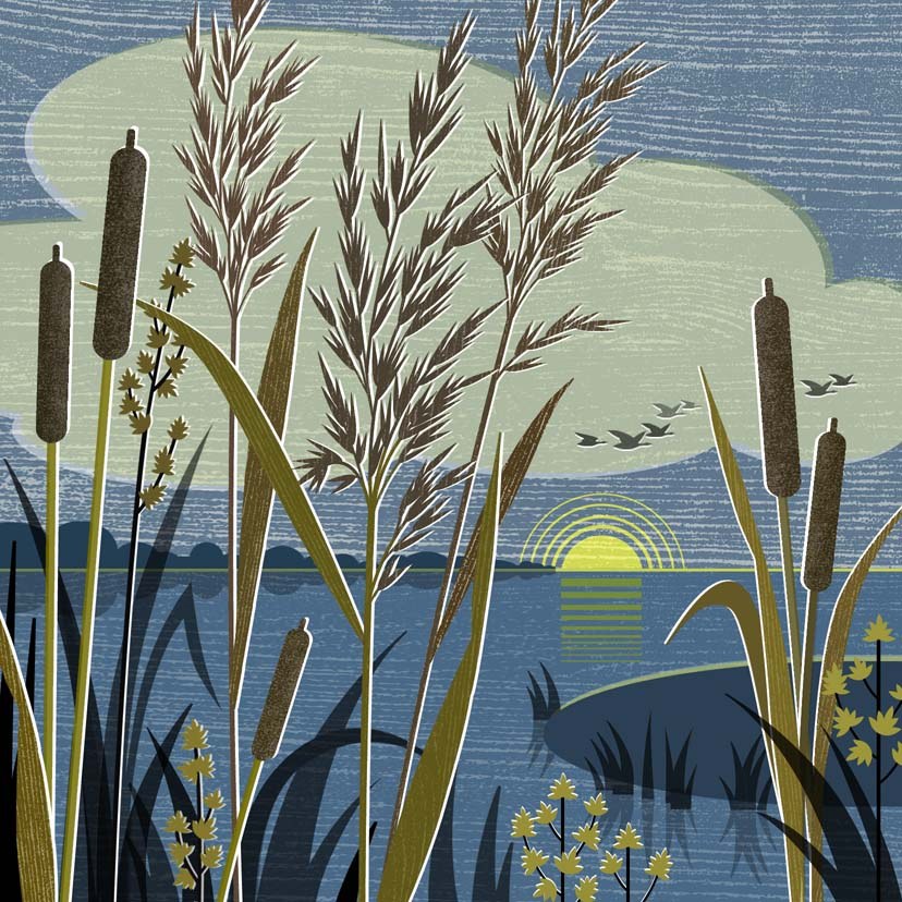 LPA0215 Fenland sunset PLCA PLGUSA PLMOB