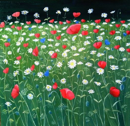 MLS0071poppies PLG