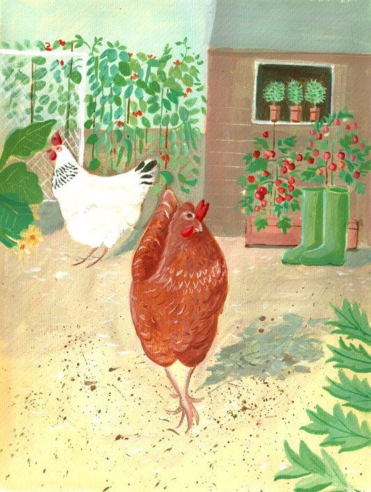 MLS0264chickens PLGBNL