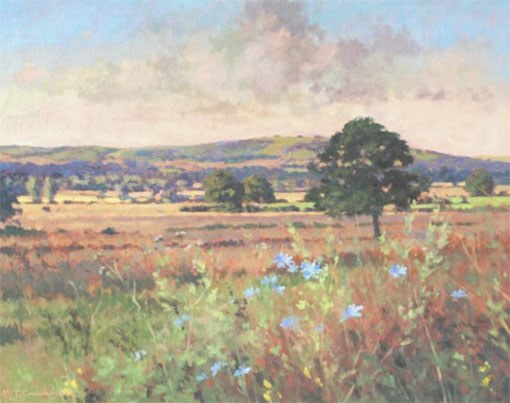 MKC0021 LANDSCAPE