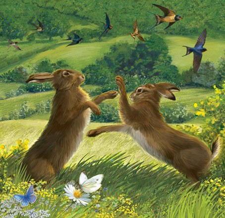 PAT0397British Wildlife 4 Boxing Hares
